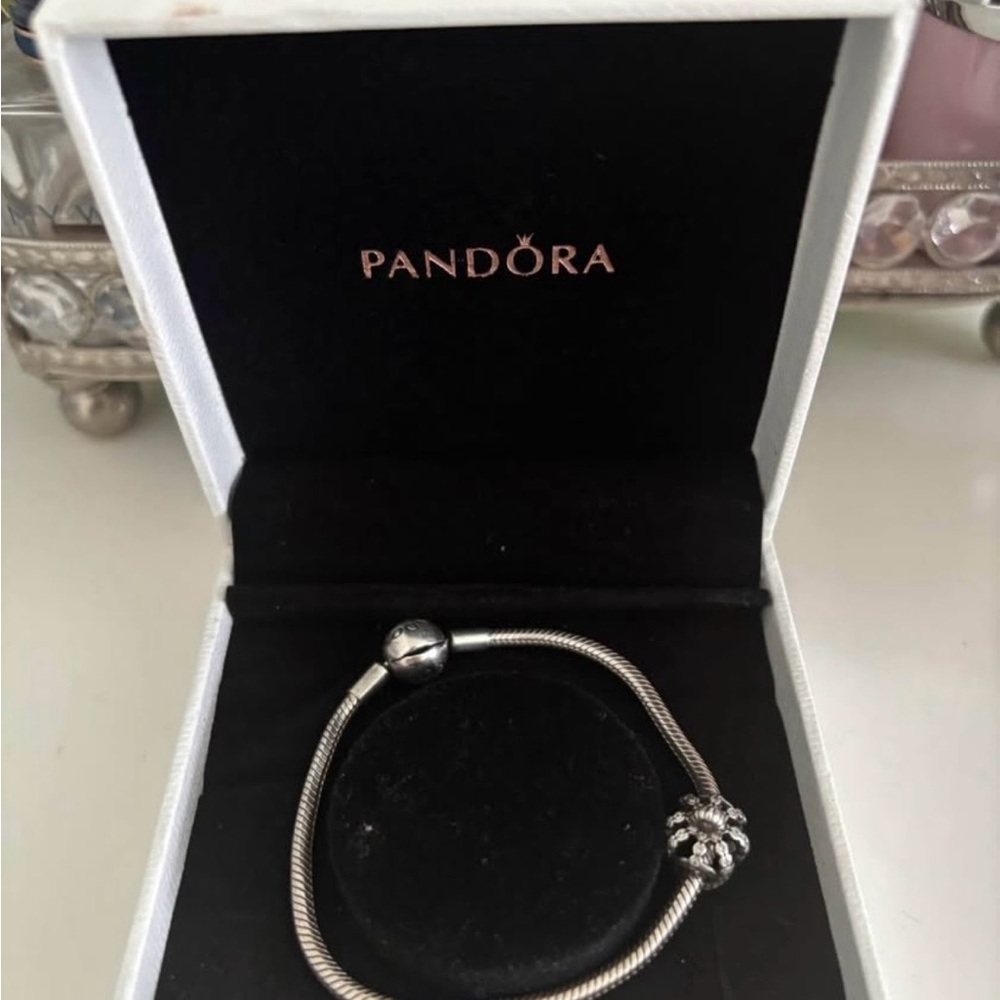 Pandora Silver Bracelet with Intricate Charm